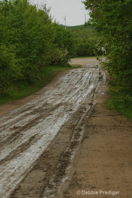 Rain drenched road
