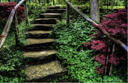 Stone Stairway