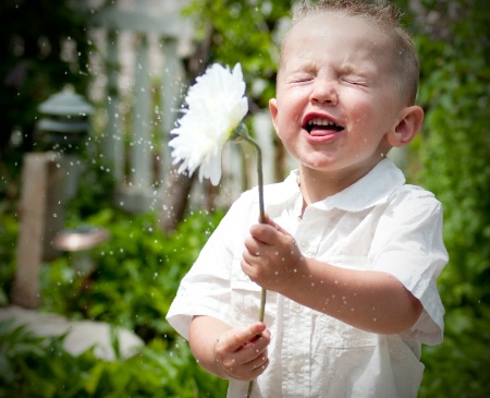 Splashing Flower