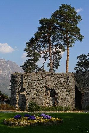 Castle Remains