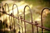 [old stories]