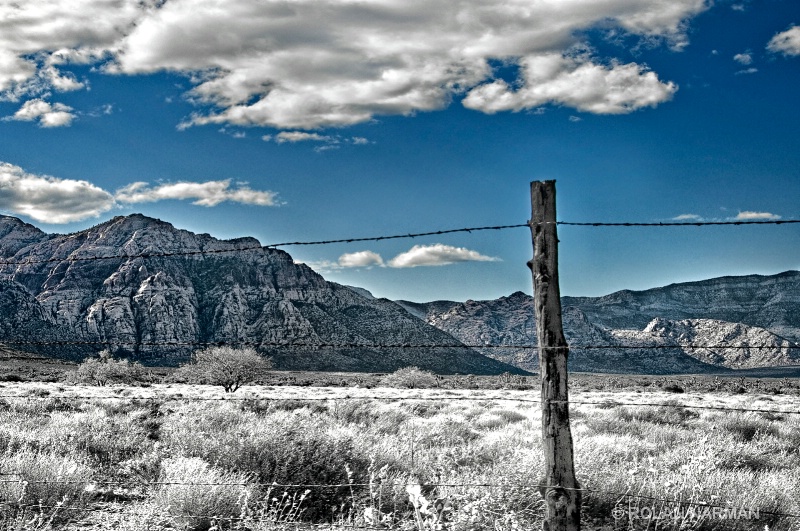 Fenced View