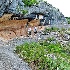 © Emile Abbott PhotoID # 10252821: Rock Art Shelter in Devils River SNA