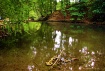 The Pond