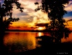 The Lake