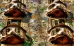 Casa Batllo