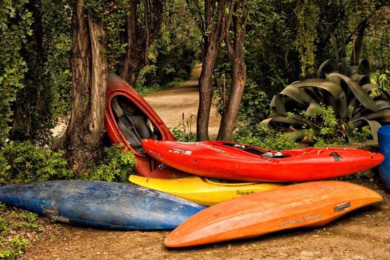 Kayak Forest