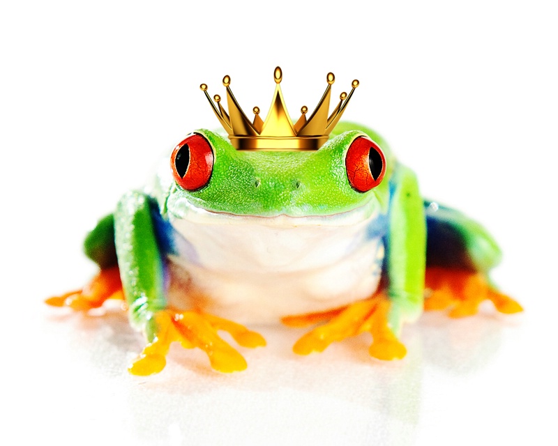 Frog with a Crown or a Prince?