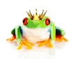 Frog with a Crown...