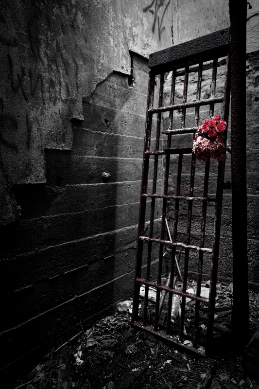 Gates and Roses 1