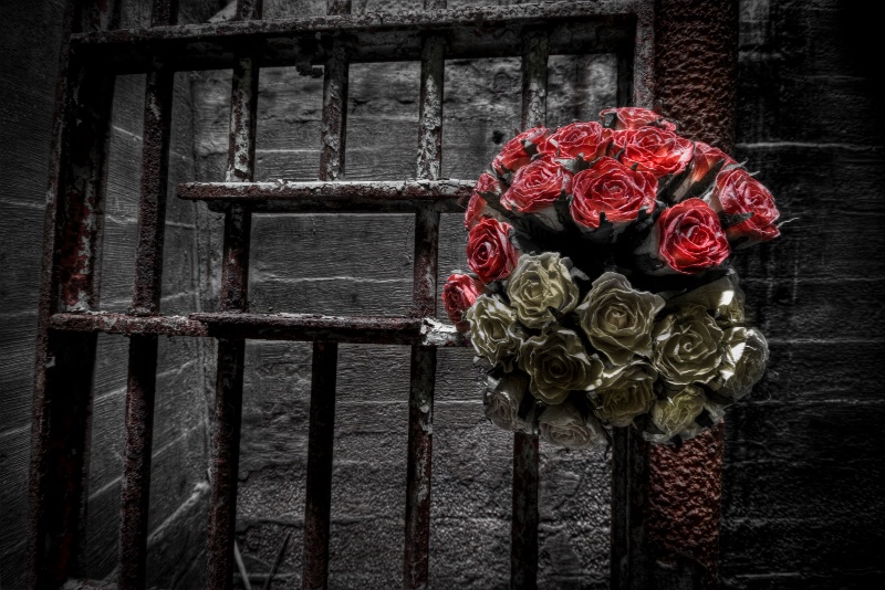 Gates and Roses 2
