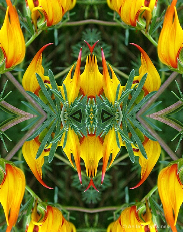 Lotus flower design