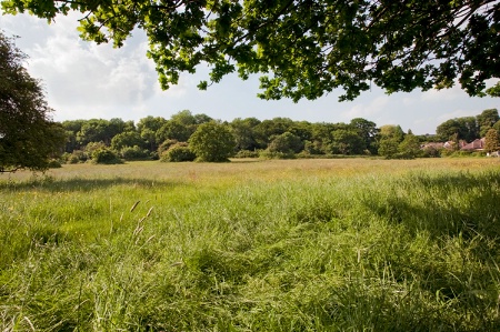 English meadow!