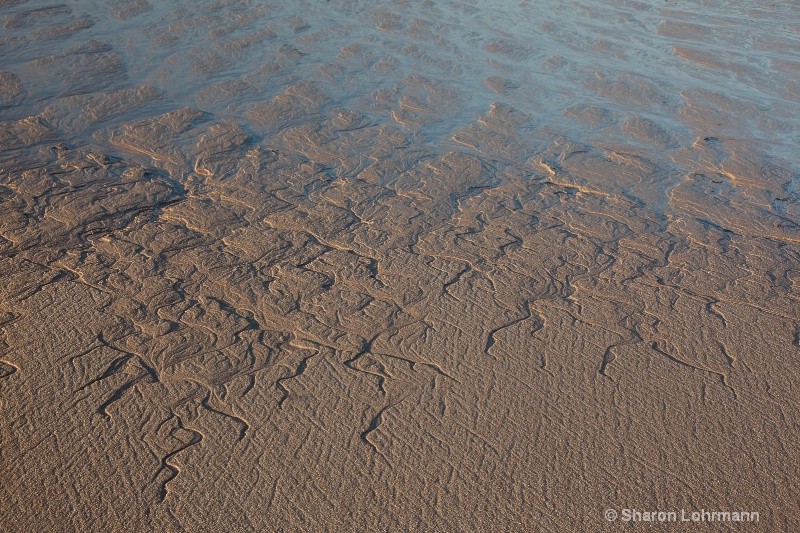 Sand Squiggles