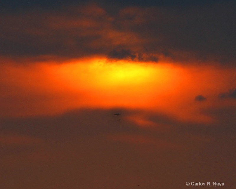 Florida Sunset - ID: 10307163 © Carlos R. Naya