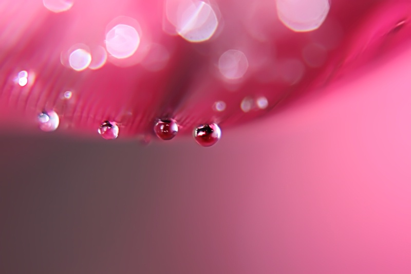 pink crystal balls