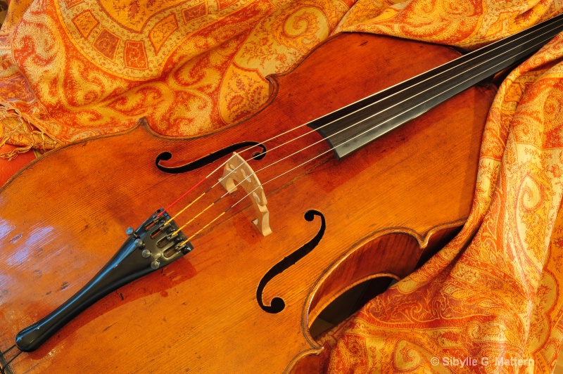 Franz Schubert's Arpeggione Cello Sonata  - ID: 10309452 © Sibylle G. Mattern