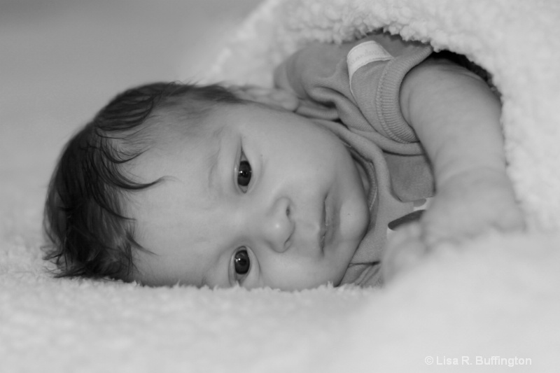 Sweet Baby Justin - ID: 10311727 © Lisa R. Buffington