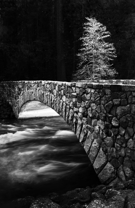 The Pohono Bridge - ID: 10311795 © Clyde Smith