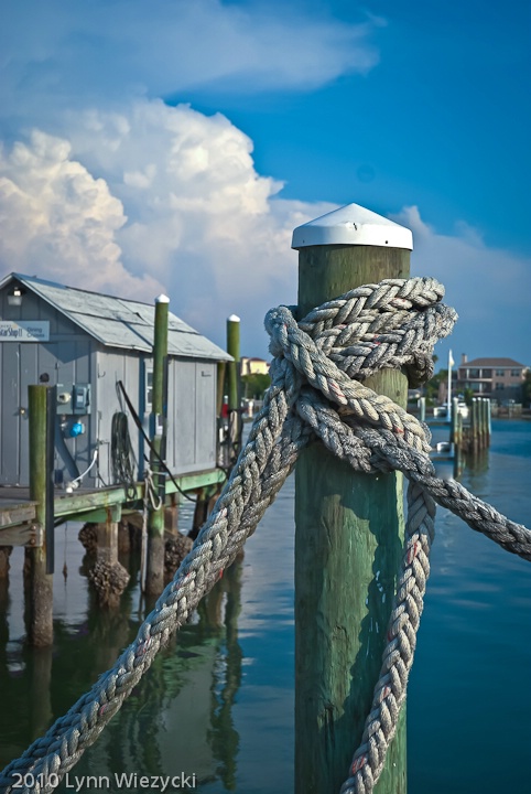 At the Docks