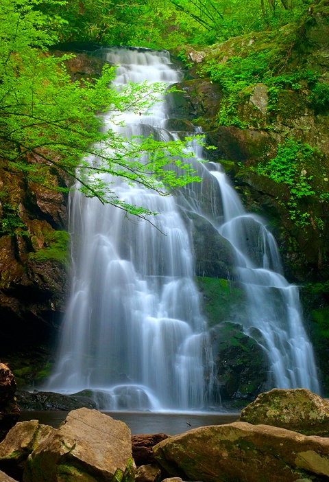 Spruce Flats Falls, Smoky Mountains - ID: 10325089 © Donald R. Curry