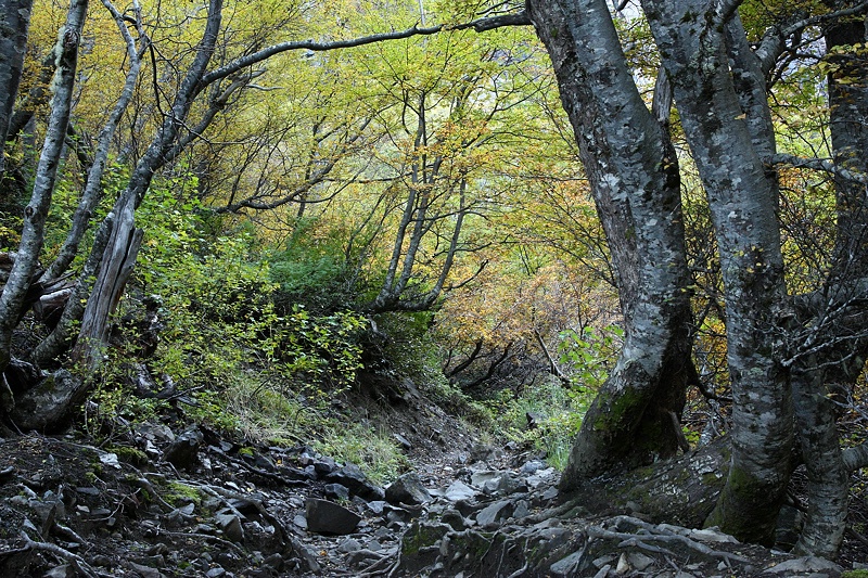 img20