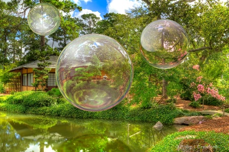 Bubbles floating through the Garden