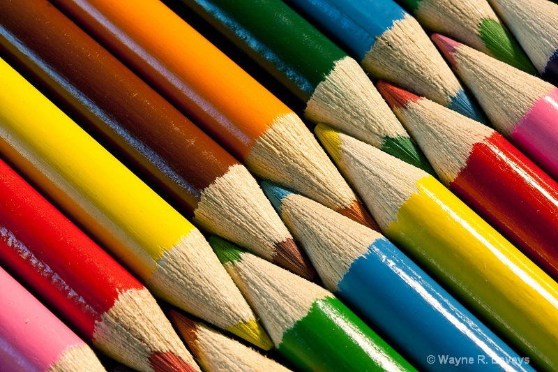 Coloured Pencils 