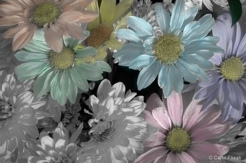 Flowers Hand Colored