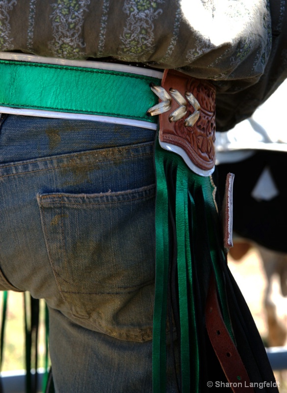 Bronc Rider - ID: 10334232 © Sharon L. Langfeldt