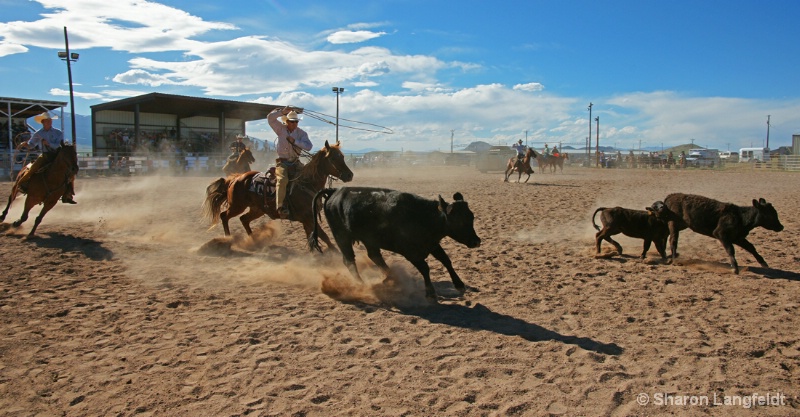 Ranch Rodeo Competition team - ID: 10334317 © Sharon L. Langfeldt