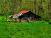 Spring Barn