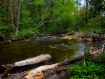 Mocassin Creek