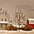 © Leland N. Saunders PhotoID# 10335304: Snow Clouds over the Farm / Joshua 24:15