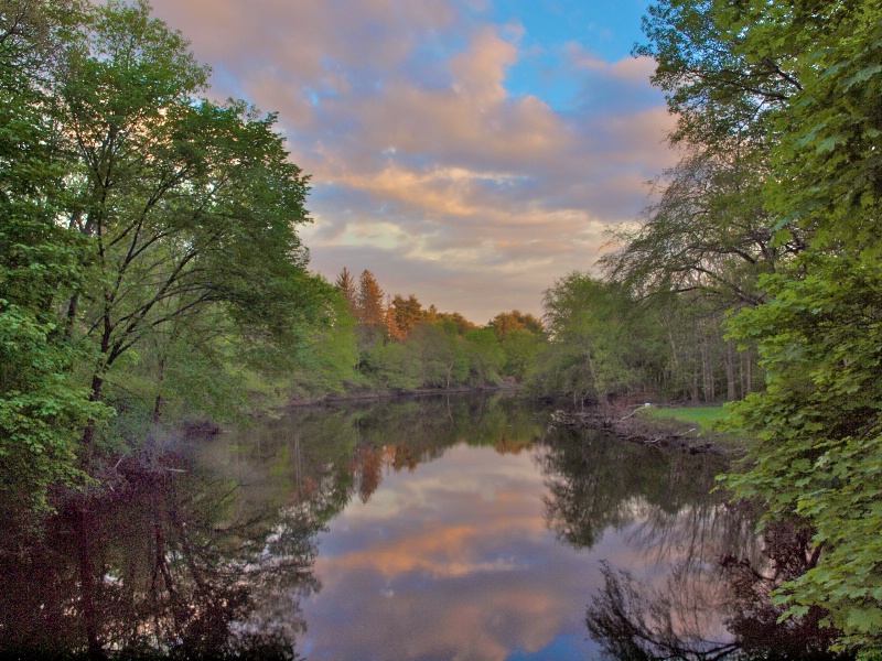 Elm Bank