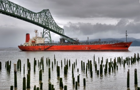 Saamis Adventurer, Astoria, Oregon