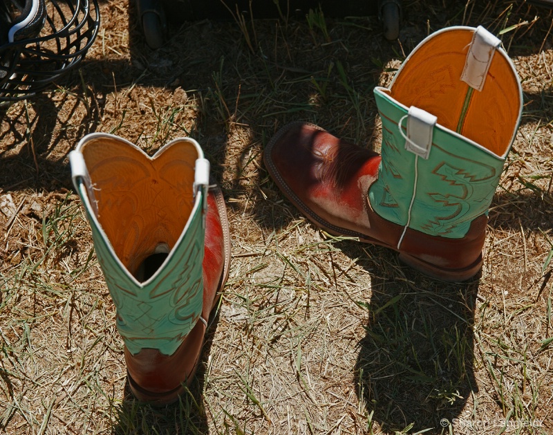 Bull Rider Boots - ID: 10337450 © Sharon L. Langfeldt