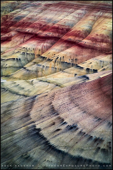 Painted Hills Study