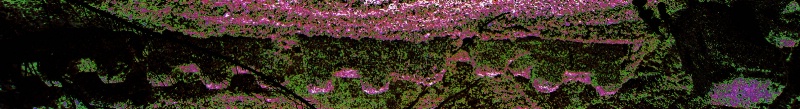 img5