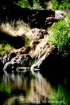 Tranquil Moments