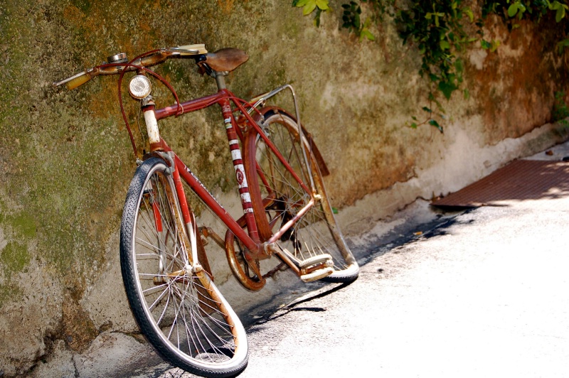 Unusual Shaped Tires - ID: 10343637 © Susie P. Carey