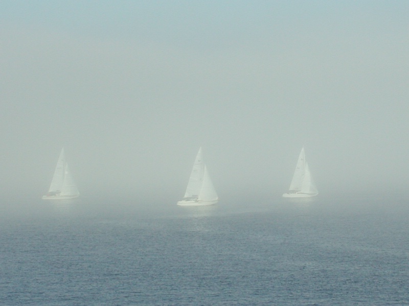 Sailboats in Fog
