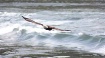 Flight