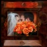 © Mesha Sanchez PhotoID # 10351524: back cover