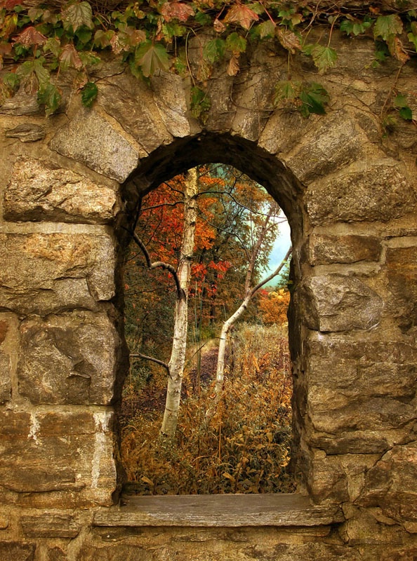 Window to Autumn