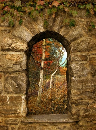 Window to Autumn