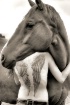 Horses and Angels