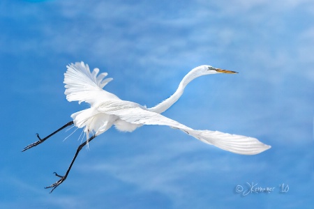 Up, Up and Away!