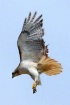Lift Off 