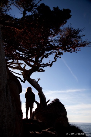 hiker at point lobos  mg 1599